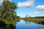 Fluss Recknitz - Bild vergrößern ...